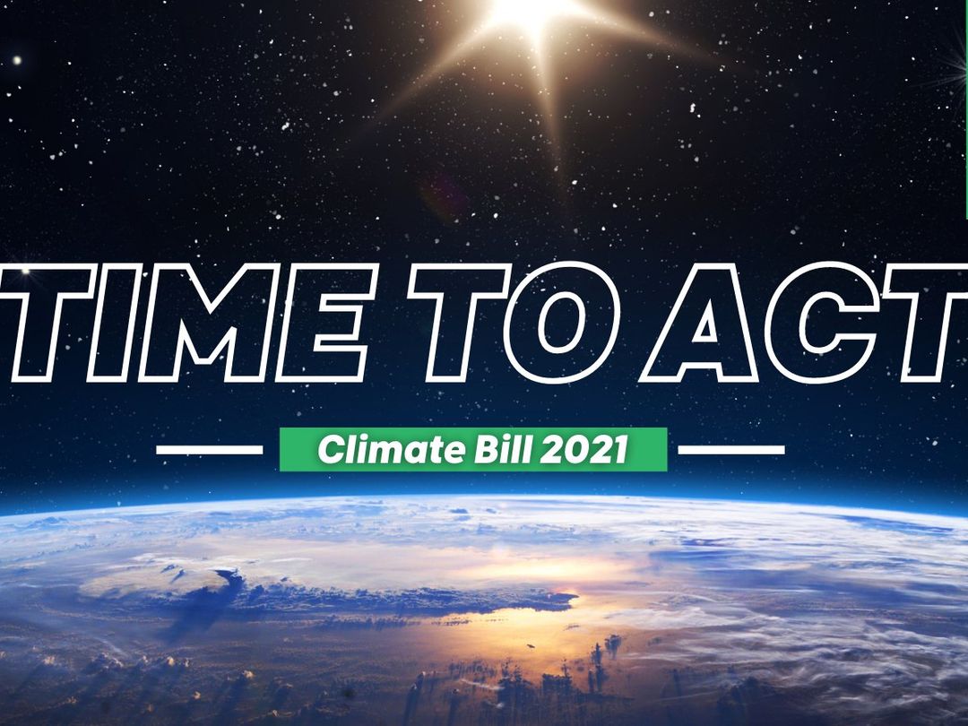 Oops, the Green Party have done it again....