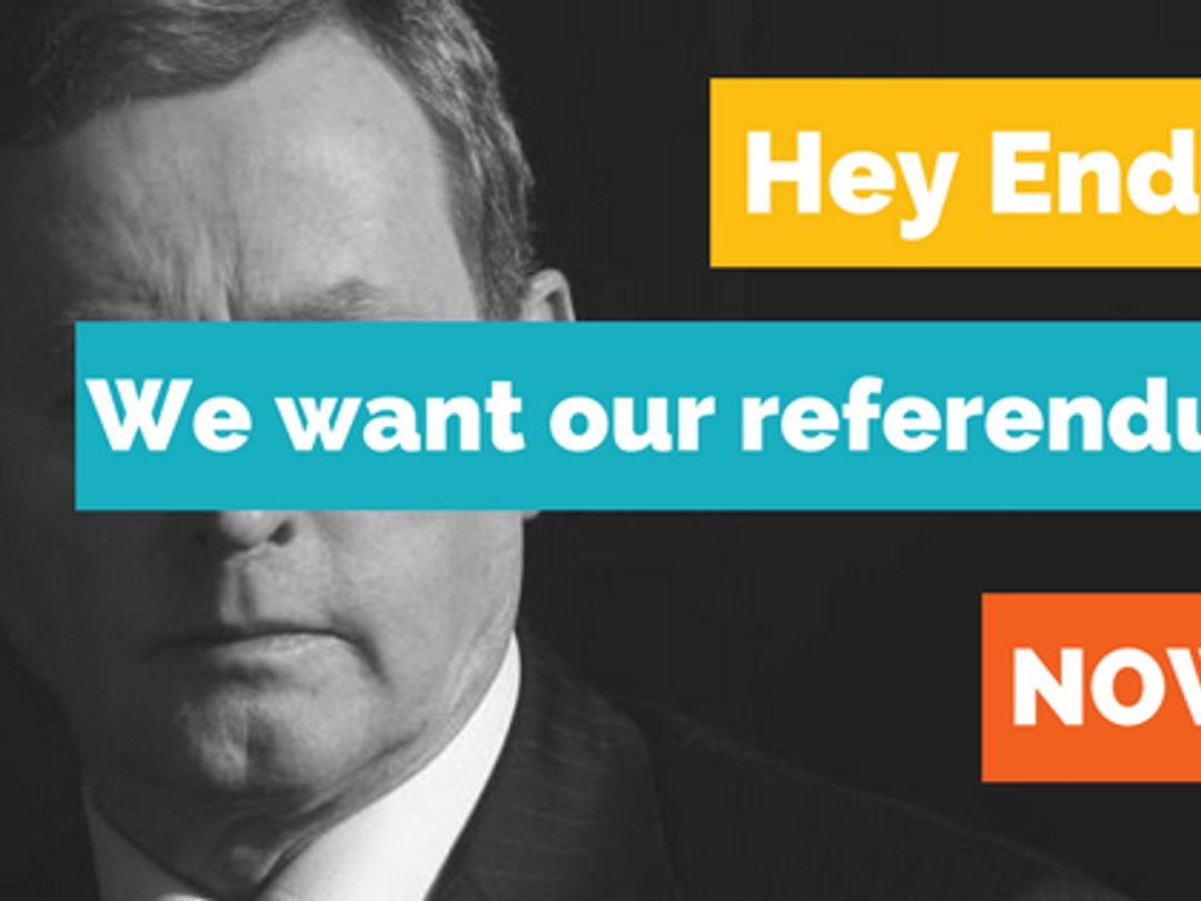 12 blueshirt successes in 12 months