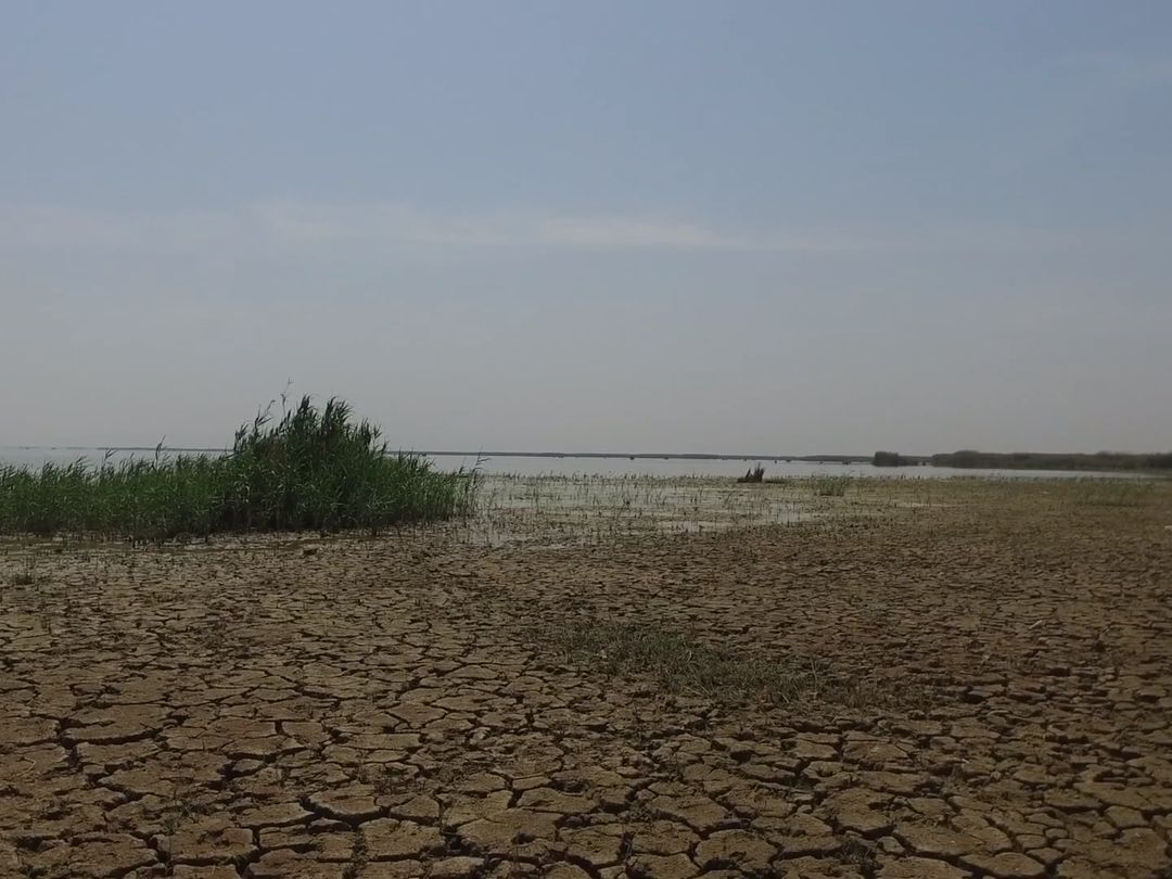 “In Mesopotamia, the land of the two rivers, people cannot access water.”