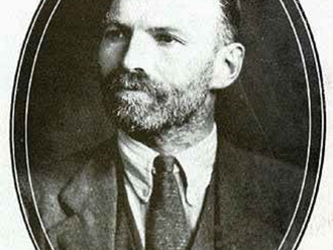 Ireland's Bolsheviks