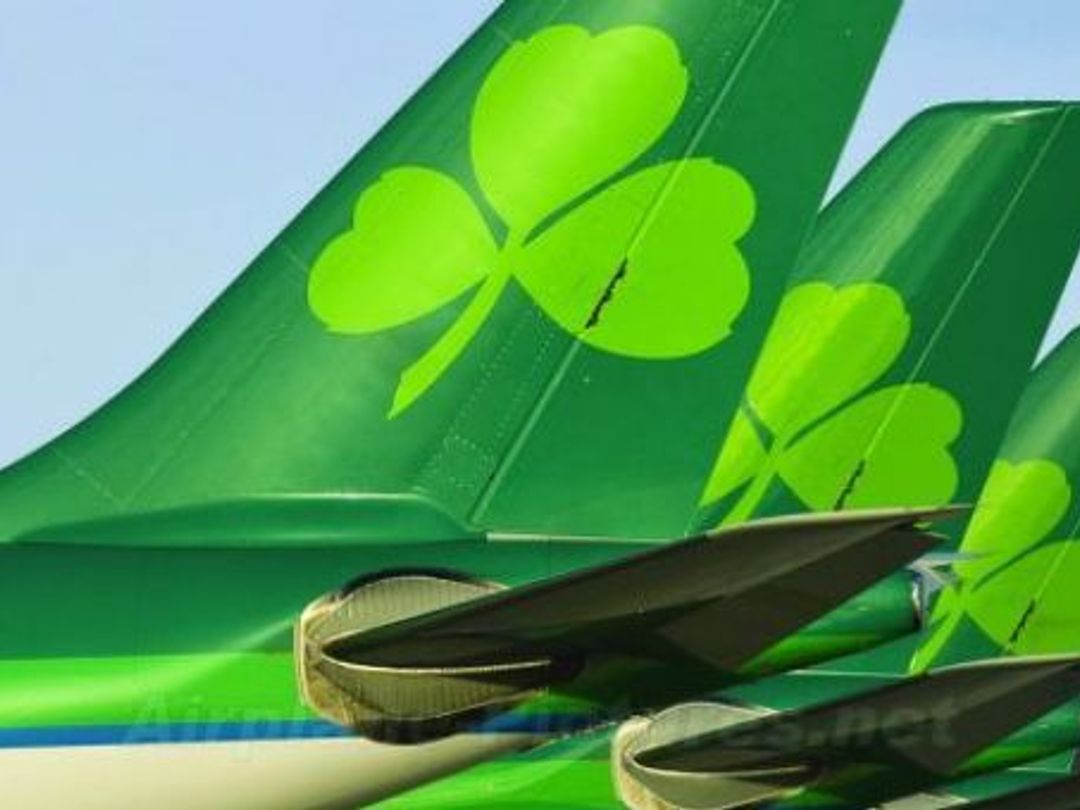 Aer Lingus sale condemned