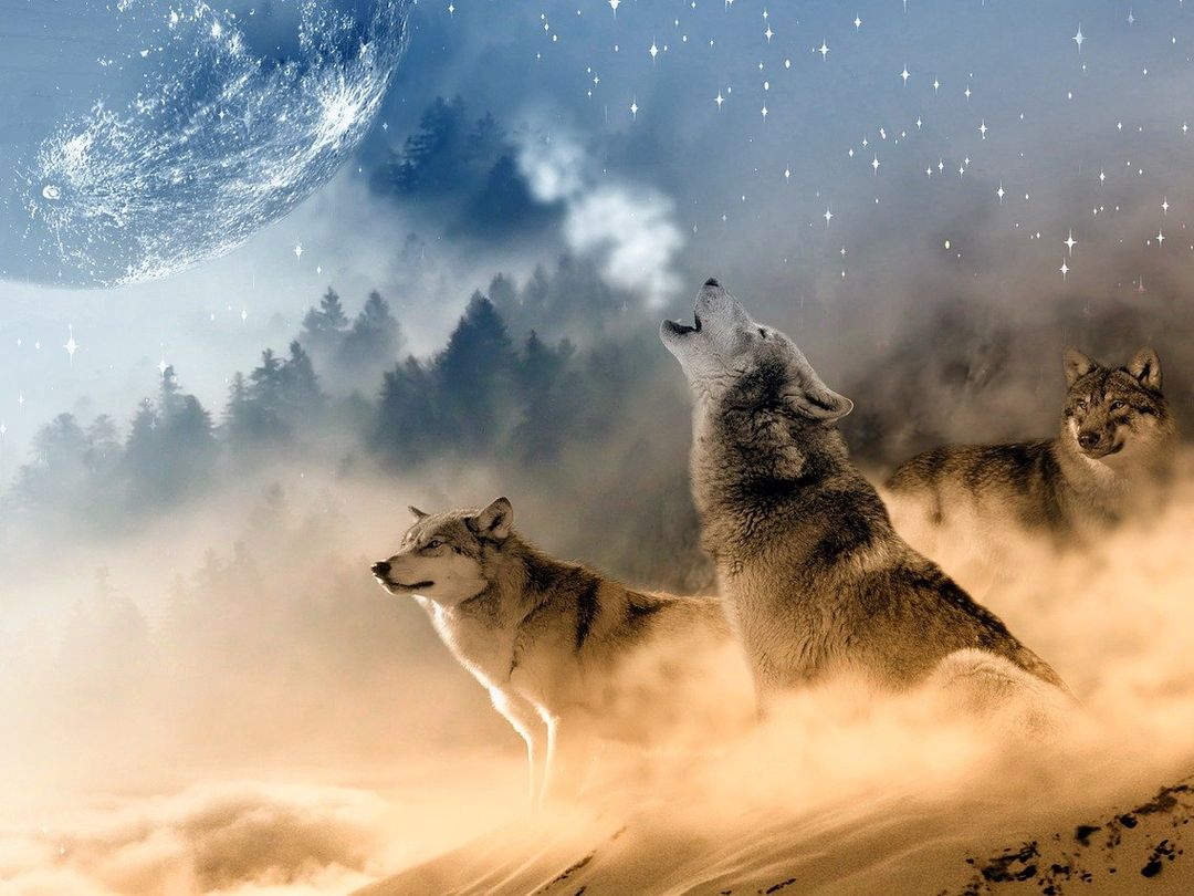 Five Times Eamon Ryan Came to the Rescue